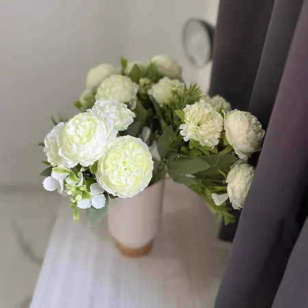 Luxury Penthouse In Lägenhet